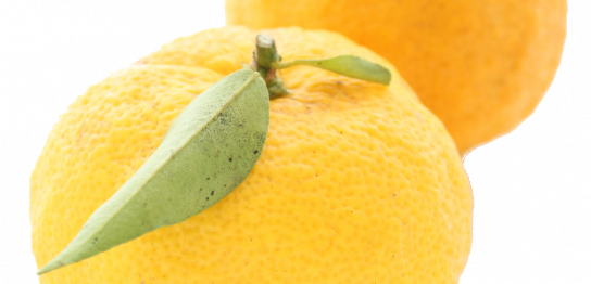 Food Additives Tokiwa Phytochemical Co Ltd Food Additives Tokiwa Phytochemical Co Ltd