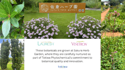 Sakura Herb Garden in July