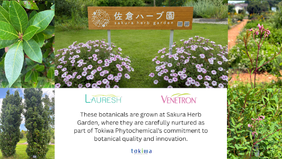 Sakura Herb Garden in July