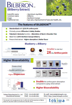 bilberon