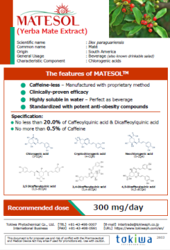 matesol