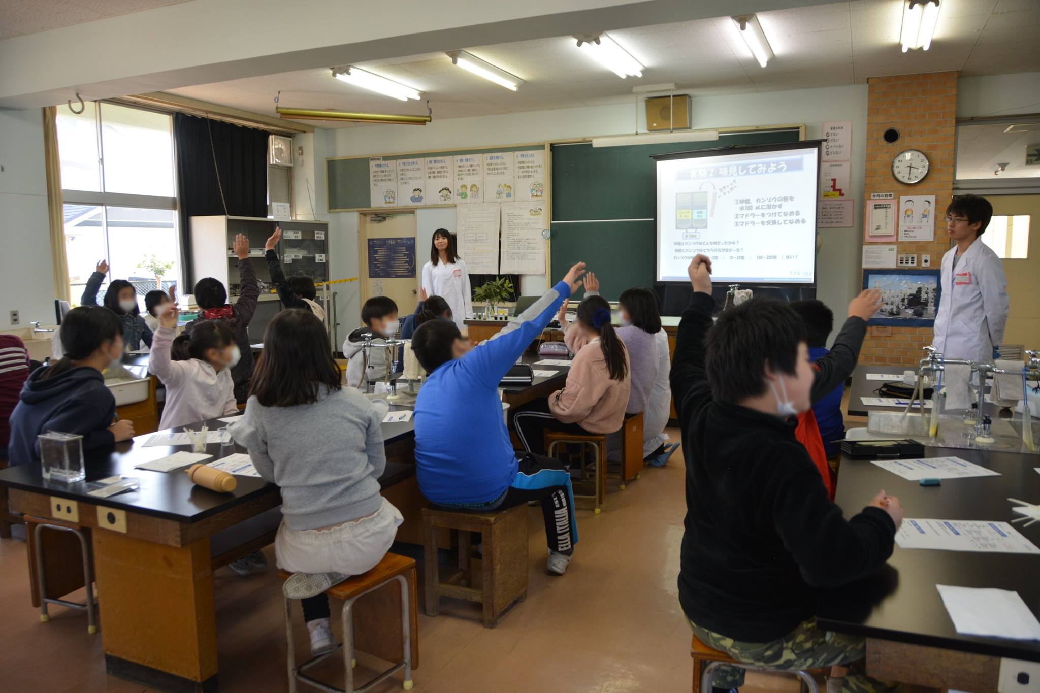 小学生向け実験教室「植物の色を調べてみよう！植物成分を味見してみよう」の実施