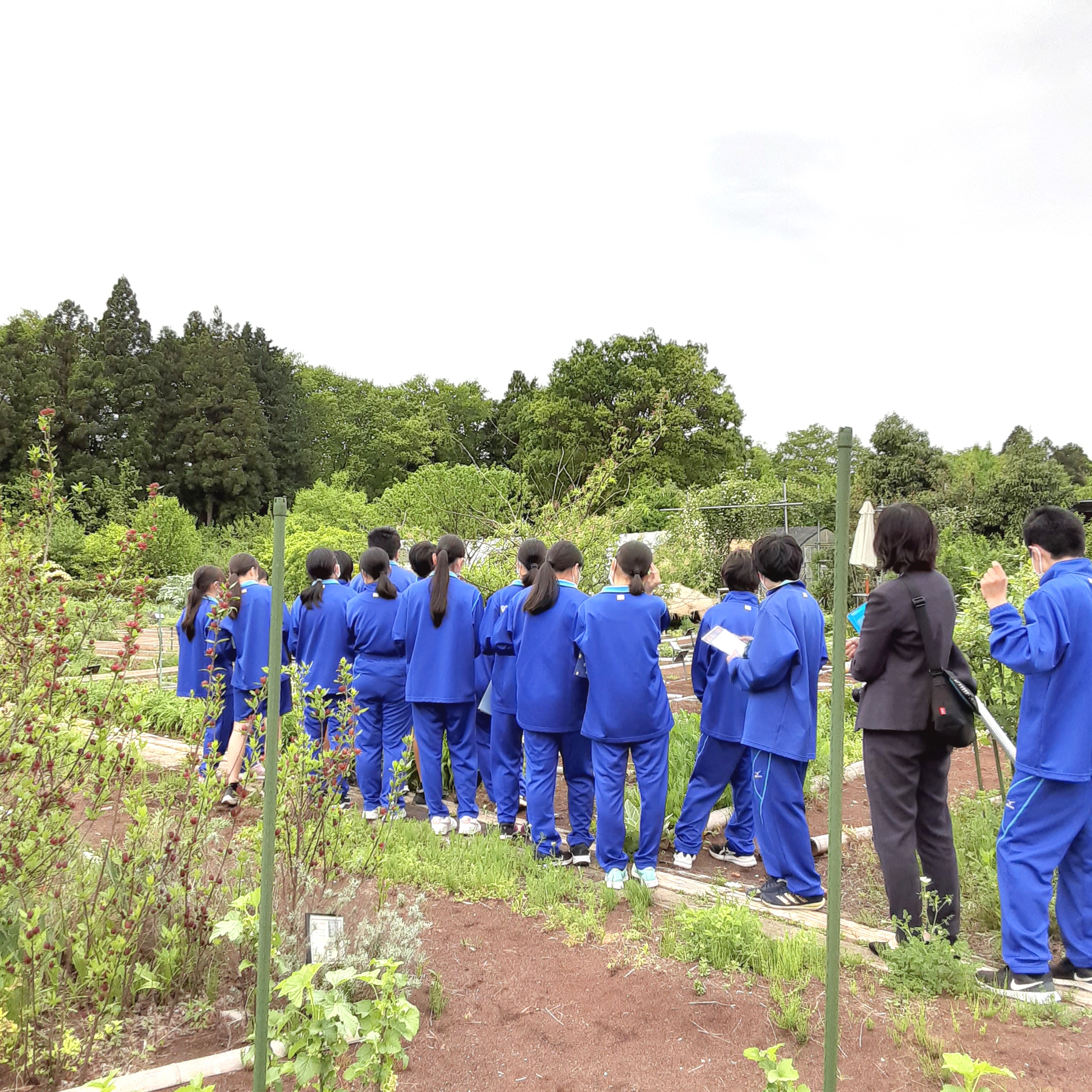 佐倉市立南部中学校 CSRの実施