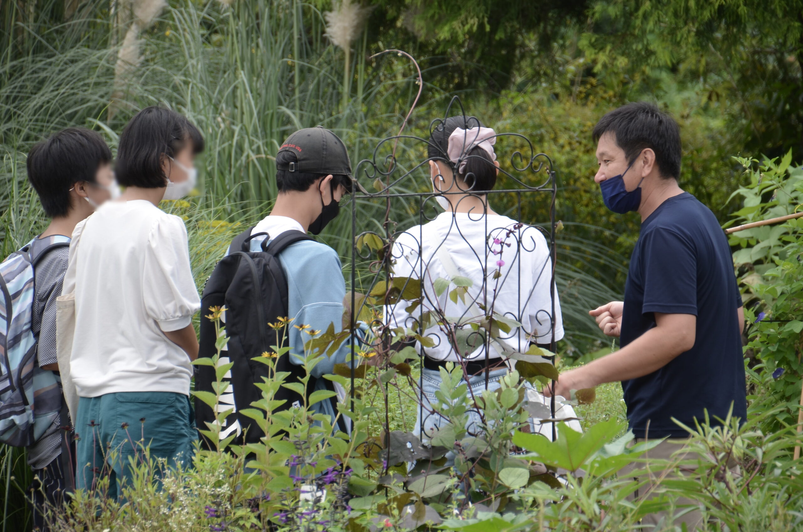 千葉大学附属中学校　教育CSRの実施