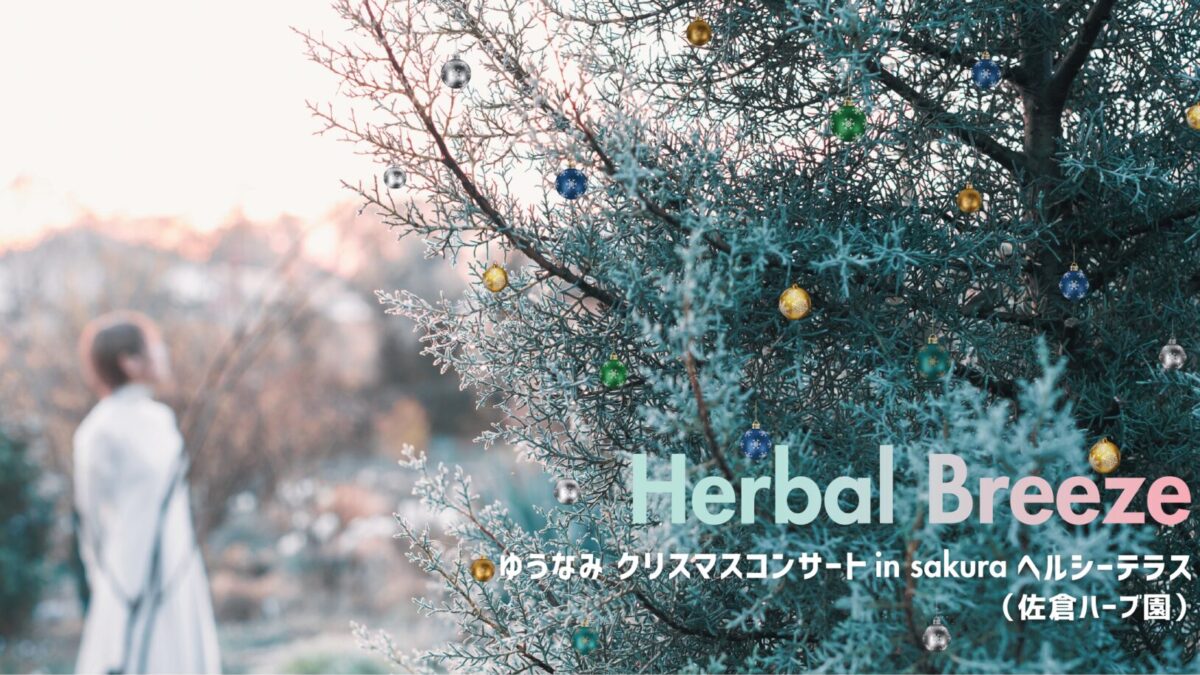 【12月イベント】ゆうなみさんによるクリスマスコンサートを開催します！